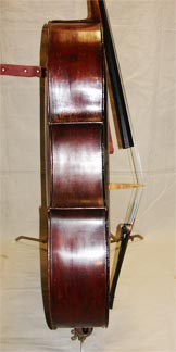Carved Cello - rib