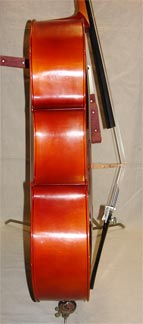 Halbsgut Cello - rib