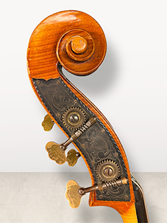 Kai Arvi New rib