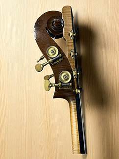 Kai Arvi New rib