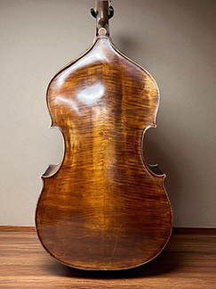 Kai Arvi New back